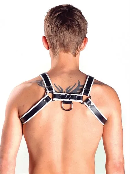 Contrast Trim Leather Bulldog Harness
