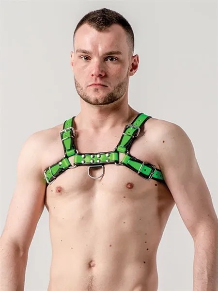 Contrast Trim Leather Bulldog Harness
