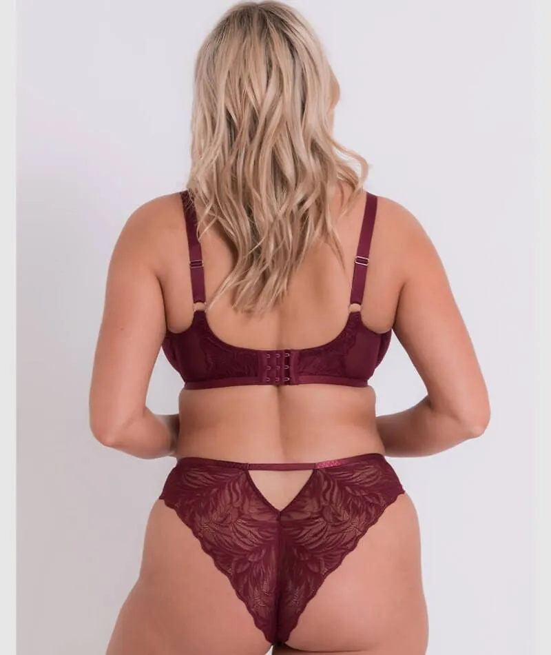 Curvy Kate Lace Daze Brazilian Brief - Claret Red