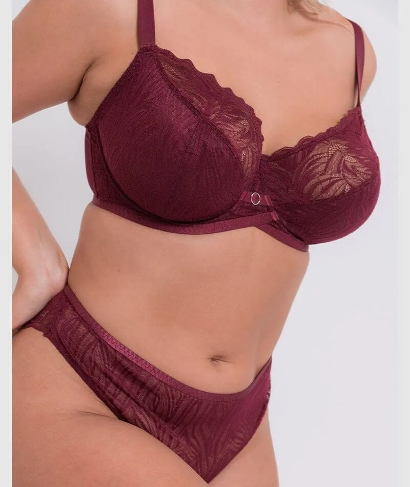 Curvy Kate Lace Daze Brazilian Brief - Claret Red