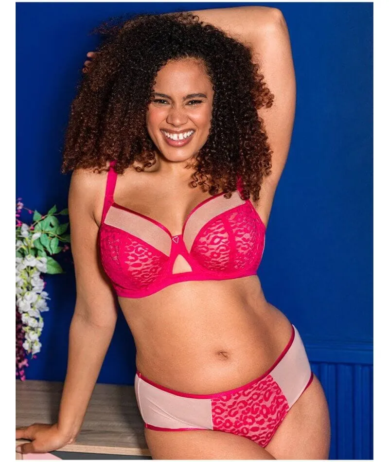 Curvy Kate Victory Wild Short - Hot Pink/ Blush