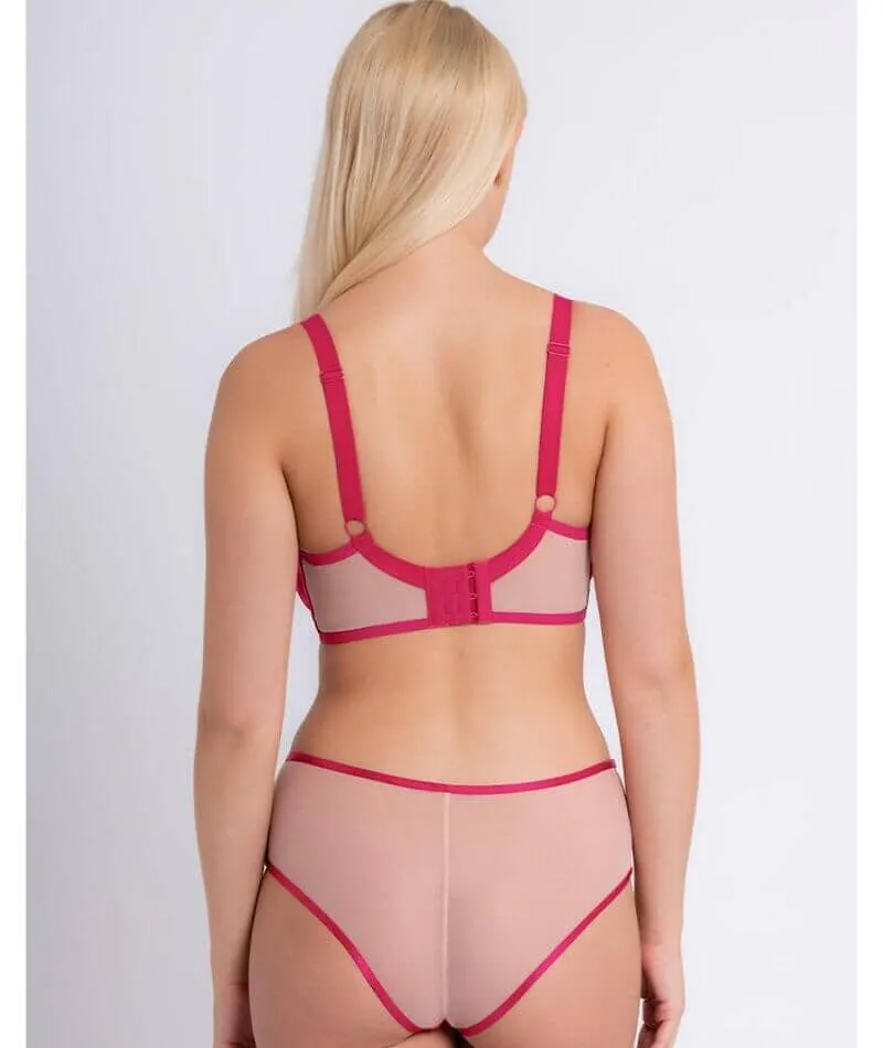 Curvy Kate Victory Wild Short - Hot Pink/ Blush