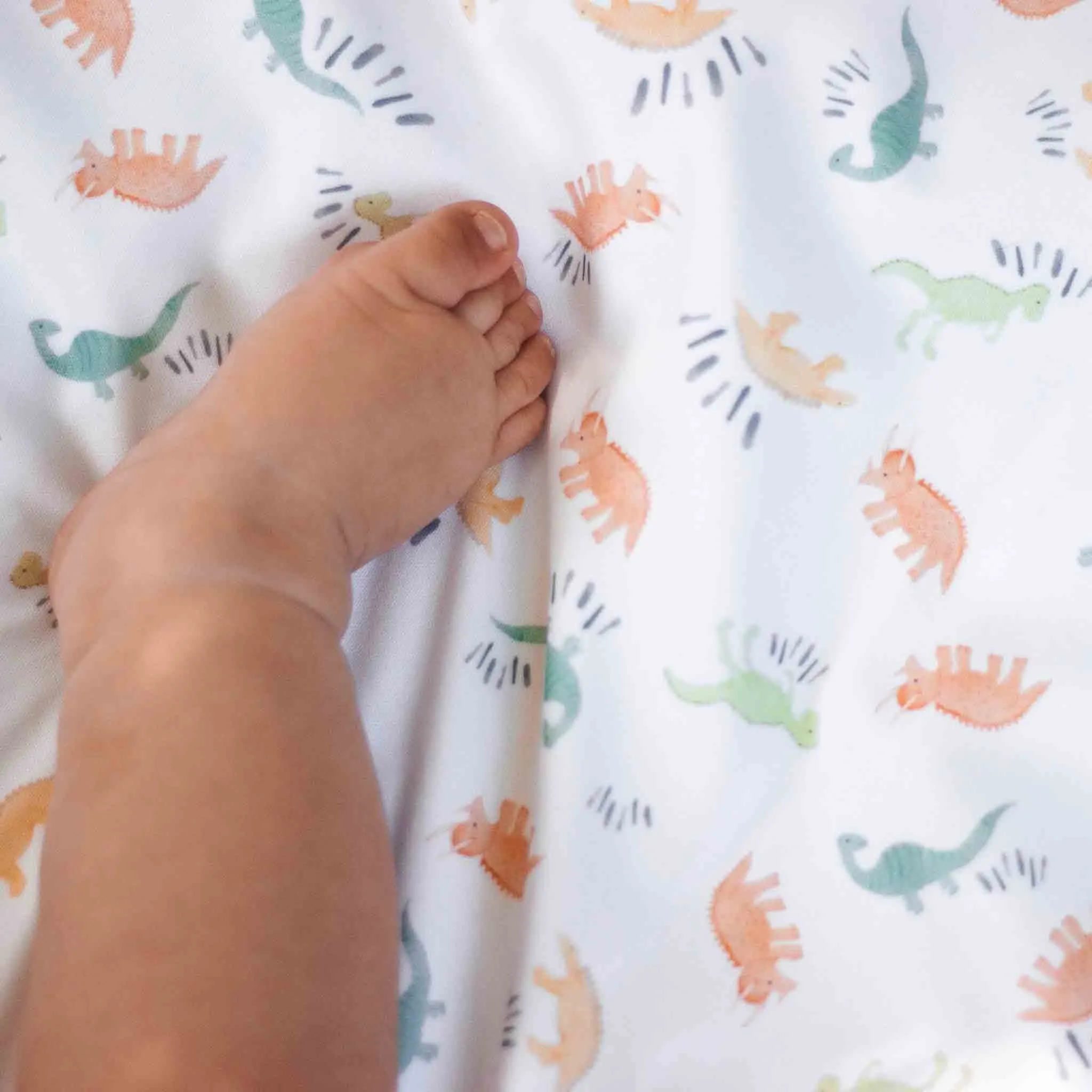 Dinosaur Travel Changing Mat