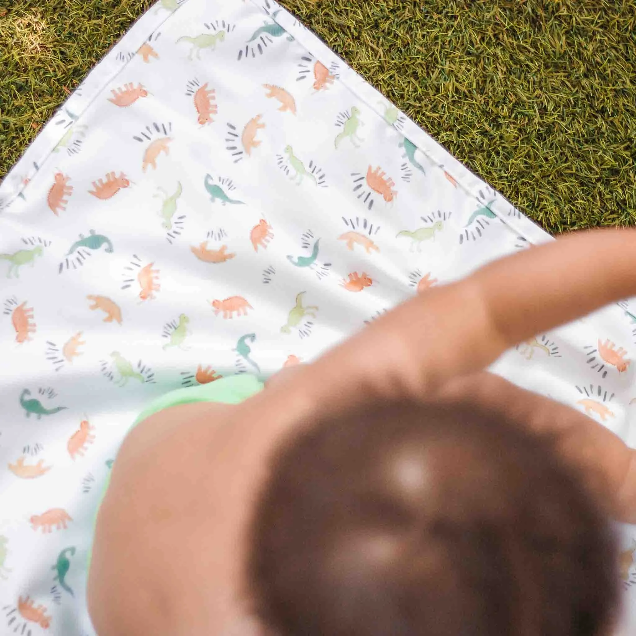 Dinosaur Travel Changing Mat