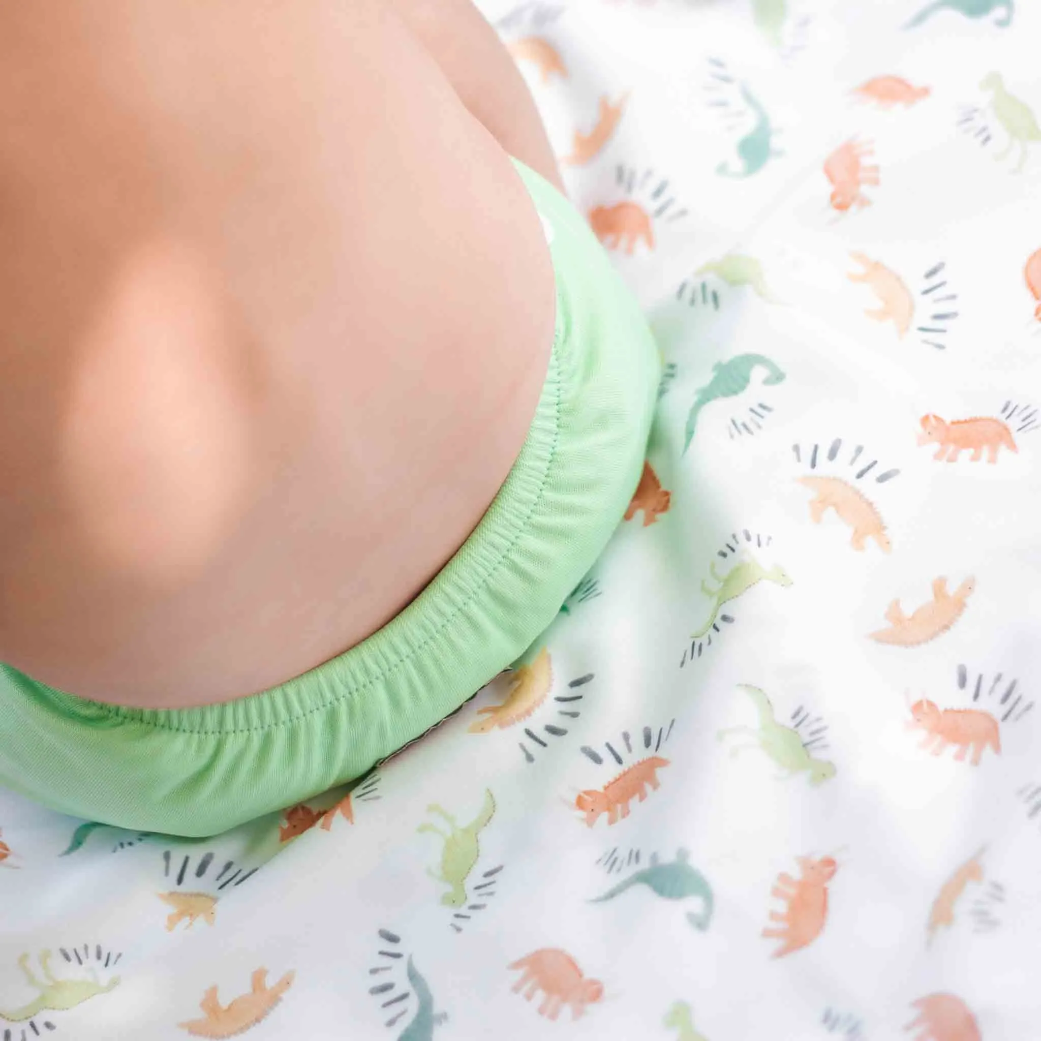 Dinosaur Travel Changing Mat