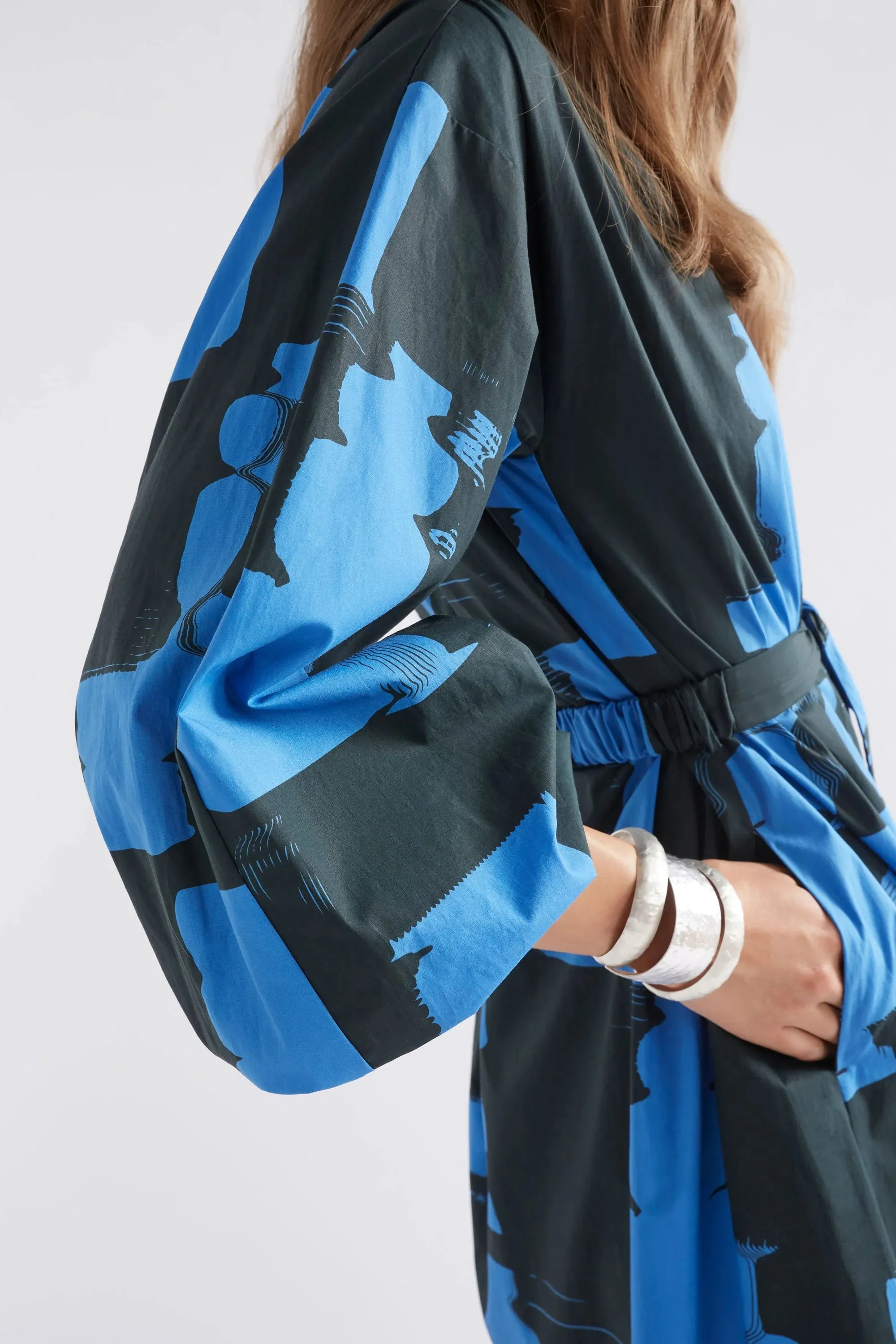 ELK Deze Dress - Blue Rolla Print
