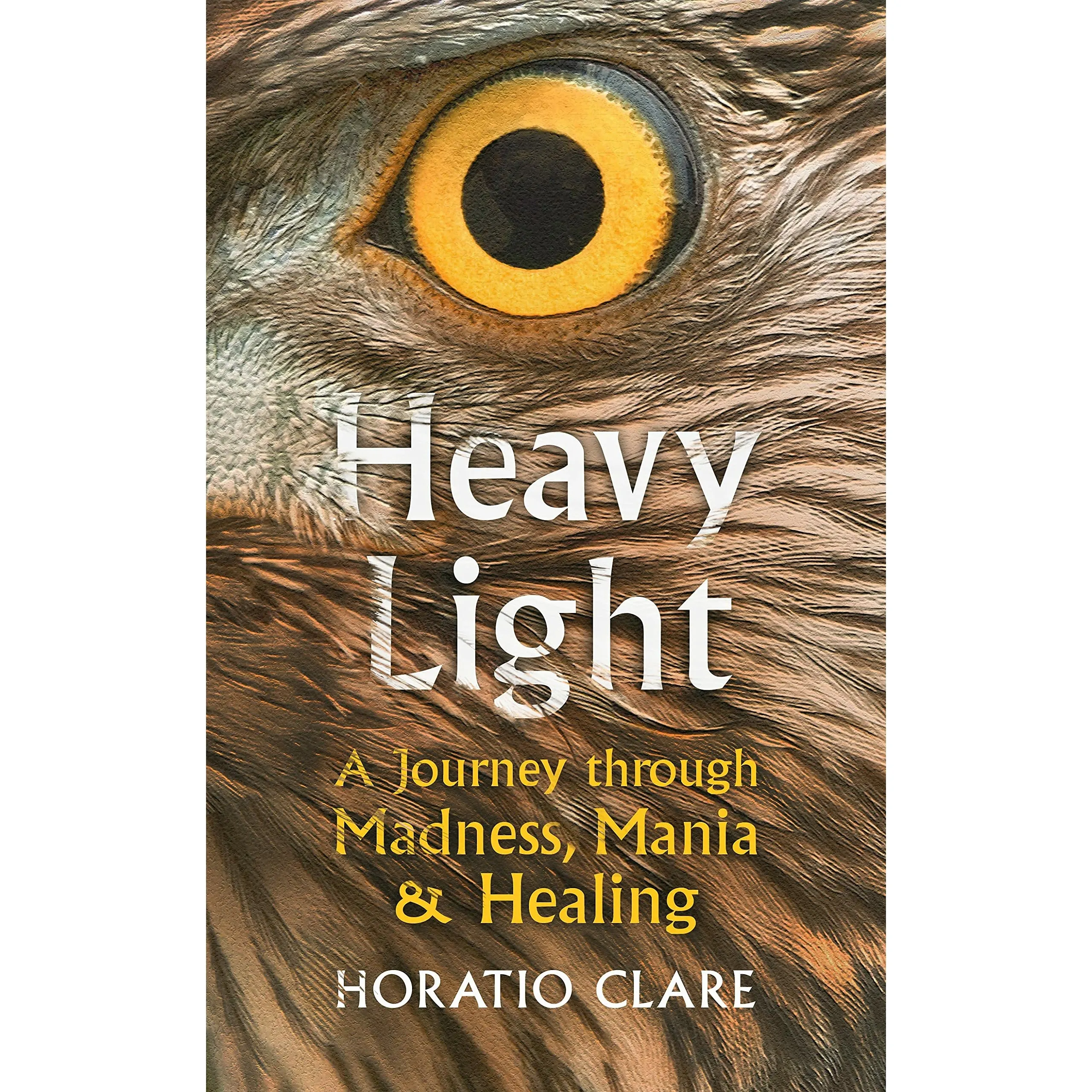 Horatio Clare 3 Books Set (The Light in the Dark, A Single Swallow, Heavy Light)