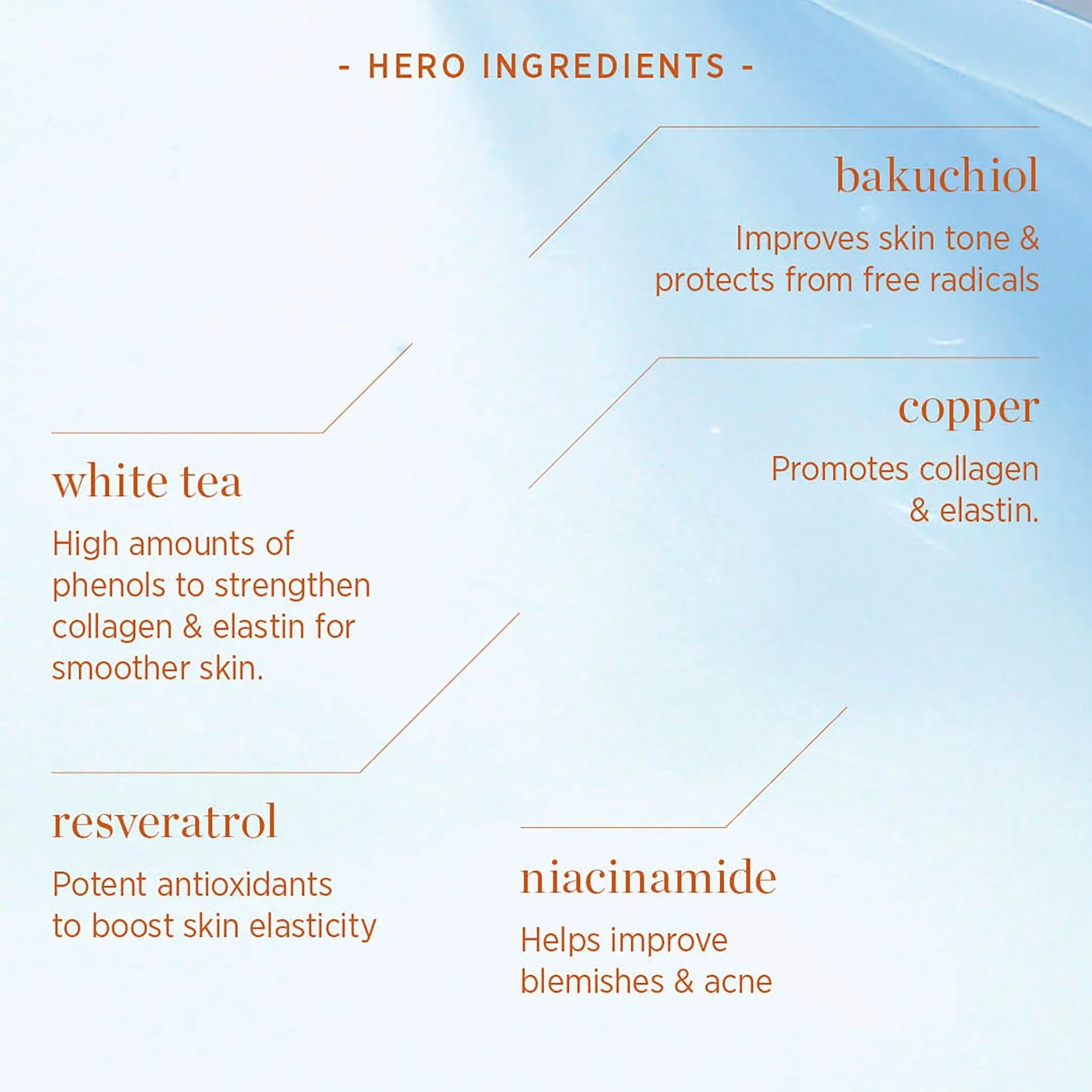 White Tea Phyto-Retinol Elixir